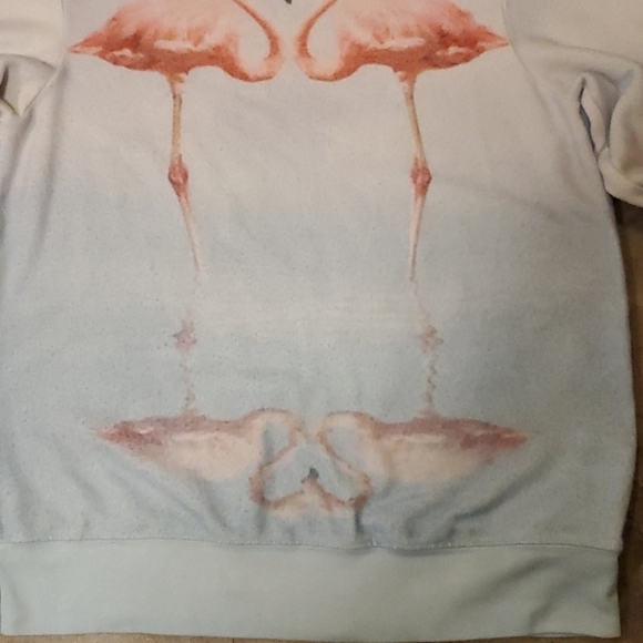 Wildfox flamingo sweatshirt sz xs - Picture 5 of 8